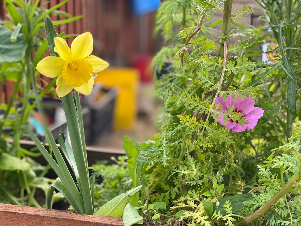 Kid Works Children's Center - childcare center in Long Beach, CA