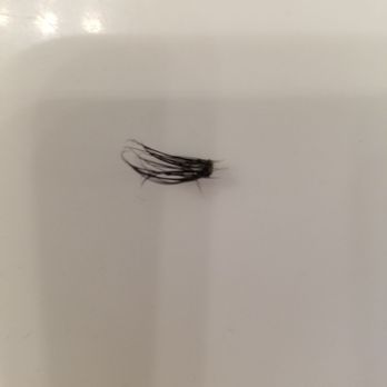 The Princess Nails - There are about 7-8 of my natural lashes stuck to this clump. - Nail Salons Near Me - Anthem, Arizona