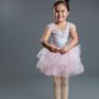 Art of Dance Studio