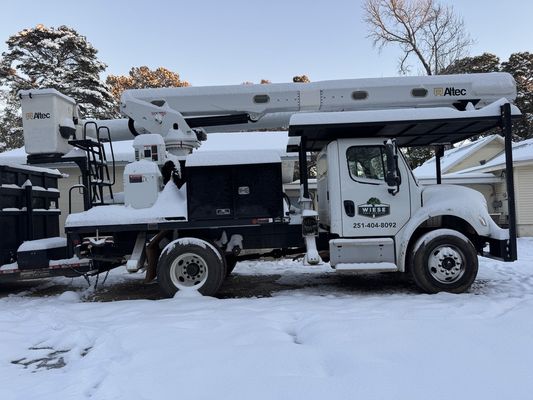 Wiese Tree Service on Yelp