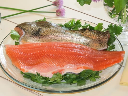 Sunburst Trout Farms And Market by null