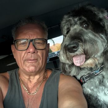 Paws Appeal Grooming - Lottie always looks great - Pet Groomers Near Me - Lake Elsinore, California
