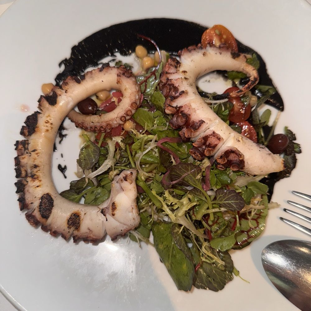 Zucca - Polipo Portoghese Alla Griglia Con Insalata Calabrese E Pure Di Ceci Al Nero Di Seppia E Rosmarino - Italian Near Me - Coral Gables, Florida Zucca - Polipo Portoghese Alla Griglia Con Insalata Calabrese E Pure Di Ceci Al Nero Di Seppia E Rosmarino - Italian Near Me - Coral Gables, Florida