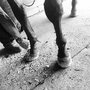 Photo of Genesis Farriers