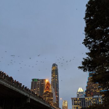 Bats Under the Congress Avenue Bridge - Landmarks & Historical Buildings Near Me - Austin, Texas