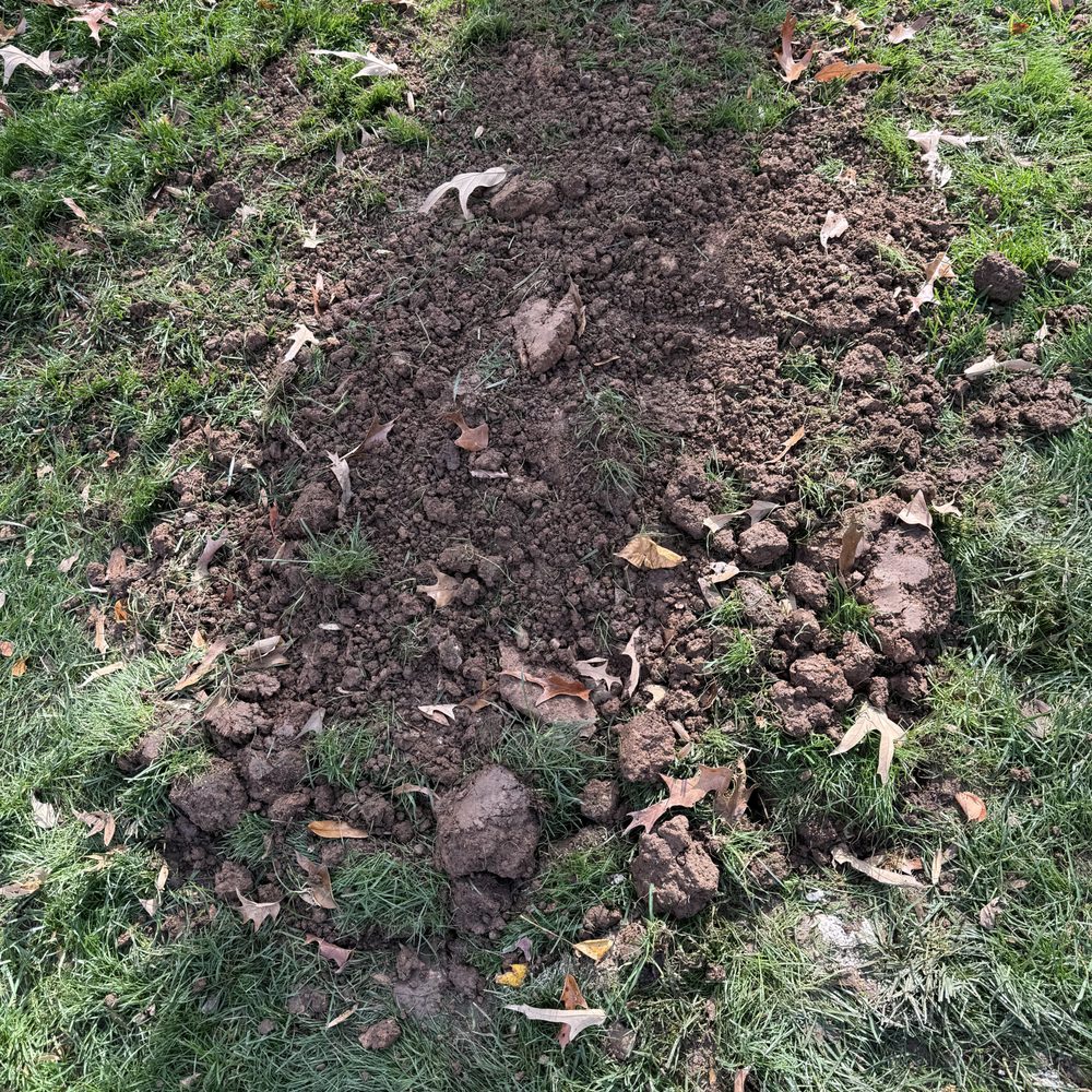 Extreme PSI - LAWN AFTER PUMP OUT - Septic Services Near Me