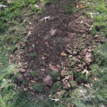 Extreme PSI - LAWN AFTER PUMP OUT - Septic Services Near Me Extreme PSI - LAWN AFTER PUMP OUT - Septic Services Near Me
