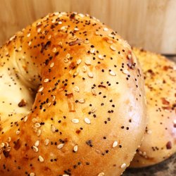 Uptown Bagel - Fresh Everything Bagel