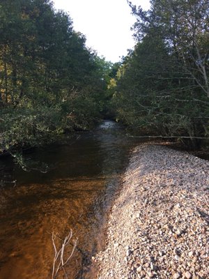 Rothiemurchus by null