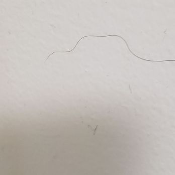 Flamingo Waterpark Resort - Pubic hair on wall - Resorts Near Me - Kissimmee, Florida Flamingo Waterpark Resort - Pubic hair on wall - Resorts Near Me - Kissimmee, Florida