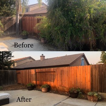 Sanchez's Tree Services - Tree Services Near Me