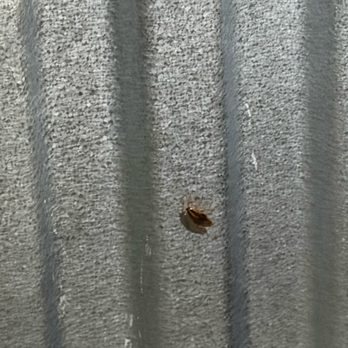 Public Storage - A roach I found in my storage unit - Self Storage Near Me - Inglewood, California Public Storage - A roach I found in my storage unit - Self Storage Near Me - Inglewood, California