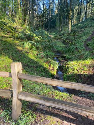 Powell Butte Nature Park by null