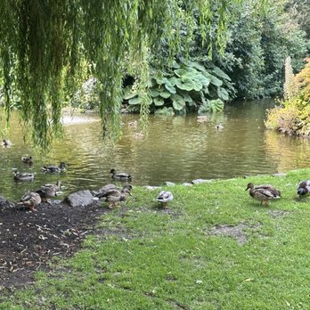 Beacon Hill Park - Parks Near Me - Victoria, British Columbia