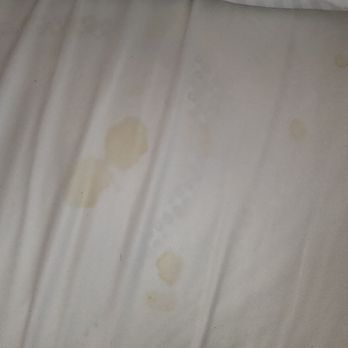 Moonrise Hotel - Stained fitted sheet - Hotels Near Me - Saint Louis, Missouri