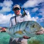 Photo of Hawaii On the Fly