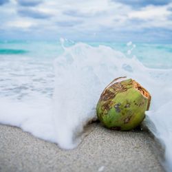 Kimo's Coconuts
