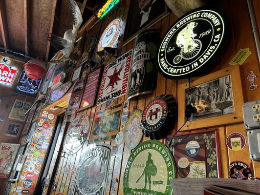 El Bait Shop by null