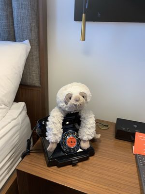 Hotel Indigo Omaha Downtown, an IHG Hotel by null