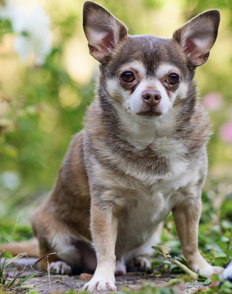 MULLER VETERINARY HOSPITAL Updated October 2024 186 Photos & 139