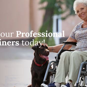 Menagerie Managers - Menagerie Managers - Pet Training Near Me Menagerie Managers - Menagerie Managers - Pet Training Near Me