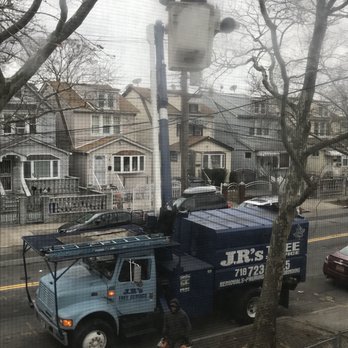 JRs Tree Service - Tree Services Near Me - Jamaica, New York