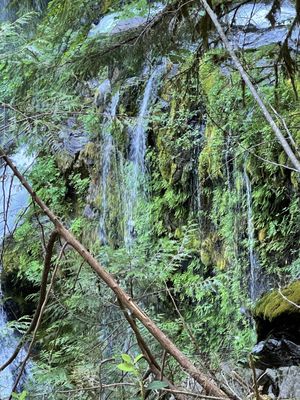 Panther Creek Falls by null
