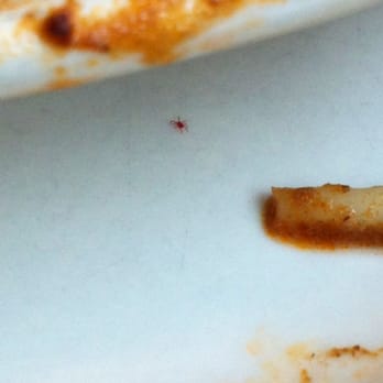 Skyline Chili - Fast Food Near Me - Florence, Kentucky