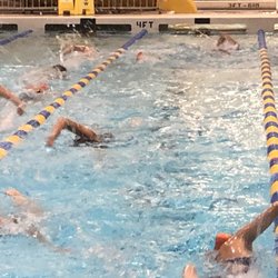 San Francisco Seals Swim Team - Practice