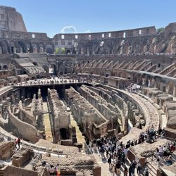 Trip Designs - Rome The Coliseum