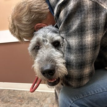 Northwest Veterinary Clinic Inc PS - Someone was not on his best behavior today - Veterinarians Near Me - Blaine, Washington Northwest Veterinary Clinic Inc PS - Someone was not on his best behavior today - Veterinarians Near Me - Blaine, Washington