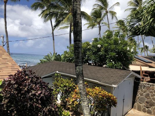 All Star Roofing and Waterproofing