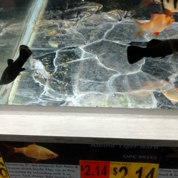 Walmart Supercenter - More rotting fish left for weeks. - Department Stores Near Me - Hesperia, California Walmart Supercenter - More rotting fish left for weeks. - Department Stores Near Me - Hesperia, California
