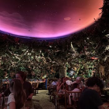 Rainforest Cafe - Dusk - American Near Me - Las Vegas, Nevada