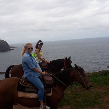 Circle M Ranch - Horseback Riding Near Me - Wailuku, Hawaii Circle M Ranch - Horseback Riding Near Me - Wailuku, Hawaii