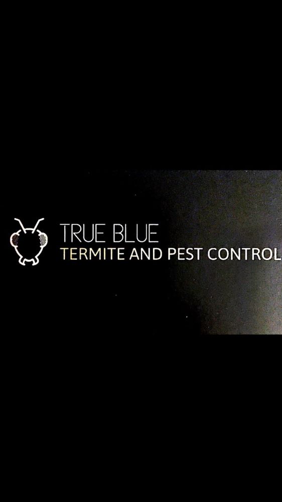 TRUE BLUE TERMITE AND PEST CONTROL Updated May 2024 Knoxville