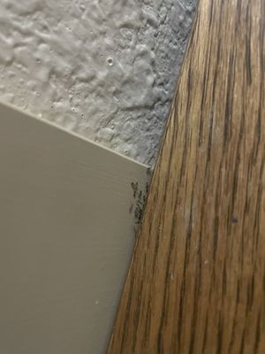 Fontana Village Resort & Marina by null