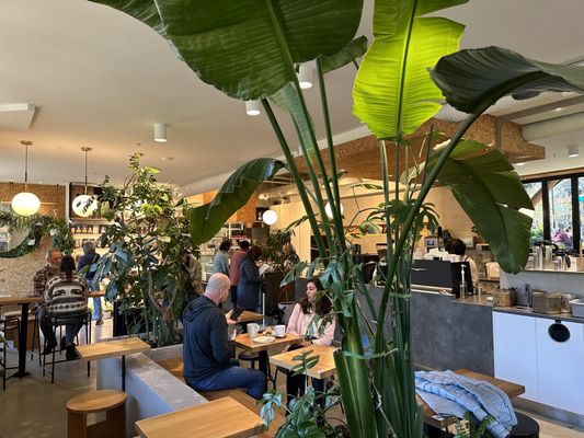 NOMAD Coffee & Bakery by null