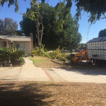 Alberts Tree Service - Tree Services Near Me - Azusa, California