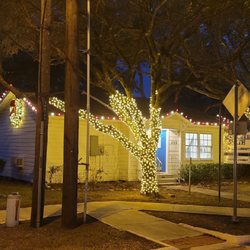 Christmas Light Guy & Decor