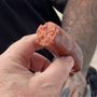 Photo of Ace & Junebug’s Homestyle BBQ & Seafood