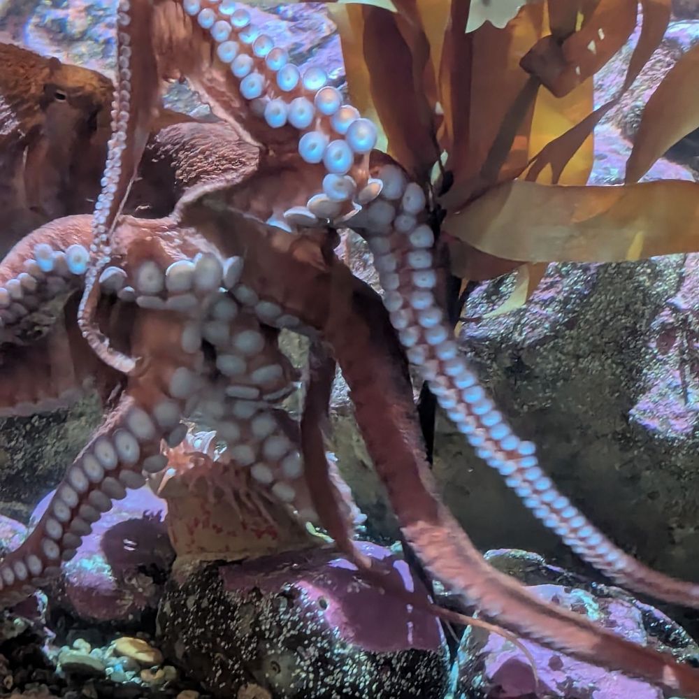 Seattle Aquarium - Aquariums Near Me - Seattle, Washington Seattle Aquarium - Aquariums Near Me - Seattle, Washington