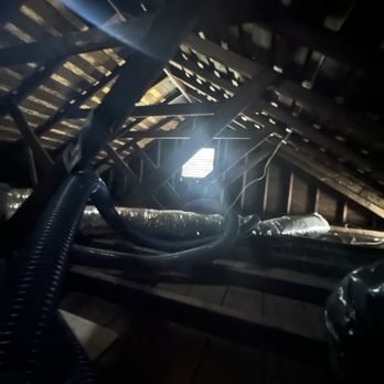 Rodent Control - Cleaned our basement. - Pest Control Near Me - San Jose, California