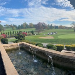 The View