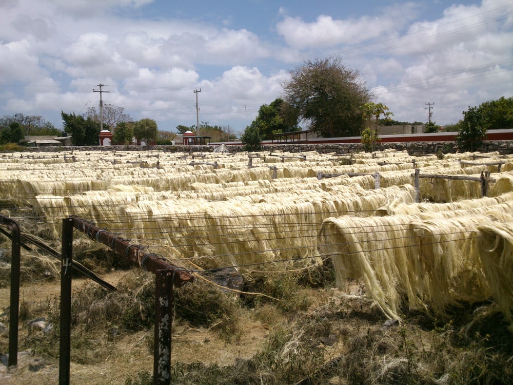 Hacienda San Eduardo.
