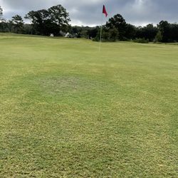 Shag carpet for the greens
