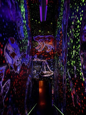 Little Dipper by null