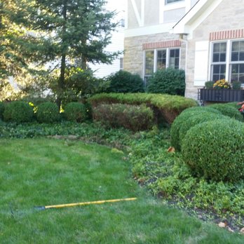 Landscaping 365 - Yard Cleanup with Shrub Pruning/Shearing in Upper Arlington - Landscaping Near Me - Dublin, Ohio