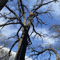 M&RG Tree Service
