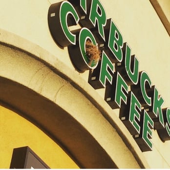 Starbucks - Yet another reason why I love this particular Starbucks, they let birds build homes in their signage :) - Coffee & Tea Near Me - North Highlands, California